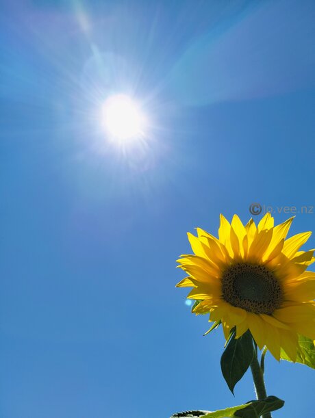 bbc femboy onlyfans hot naked pics