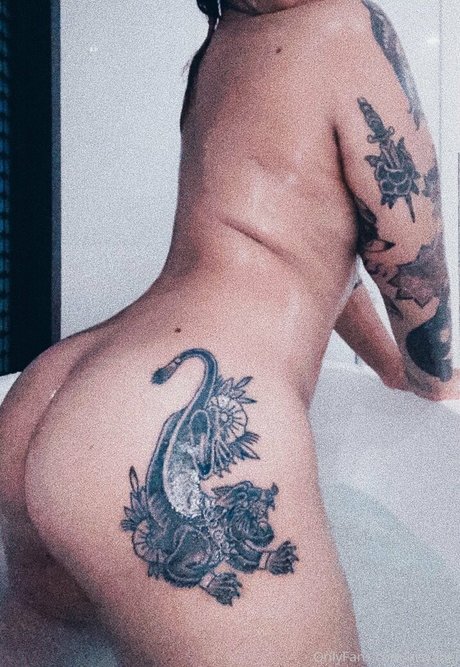 Aisyahej art star galleries