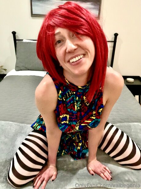 Valbegonia model hd image