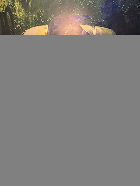 Amelia Lovis porn star photos