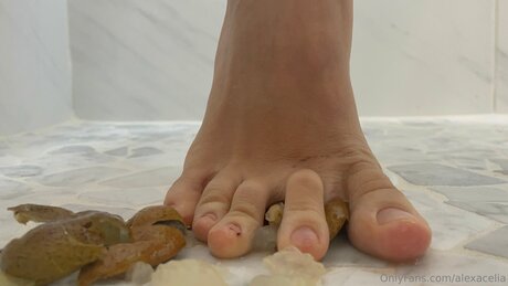 Alexacelia exclusive pornstar photos