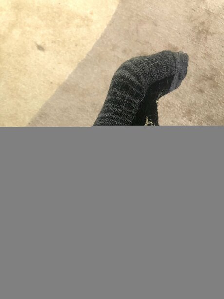 Alexacelia model erotic images