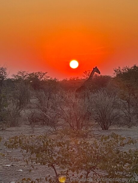Nordicguy94 naked star pictures
