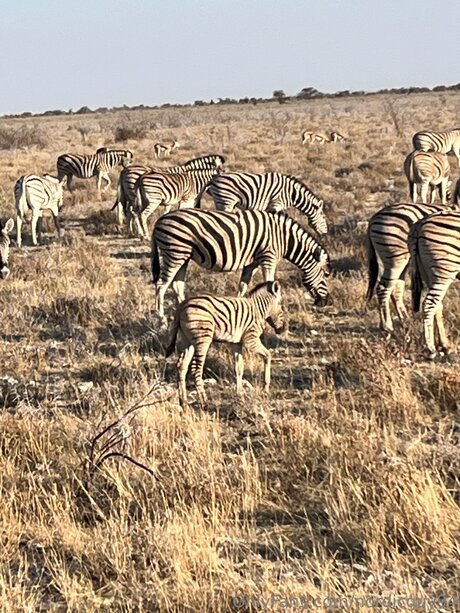 Nordicguy94 beautiful model pics