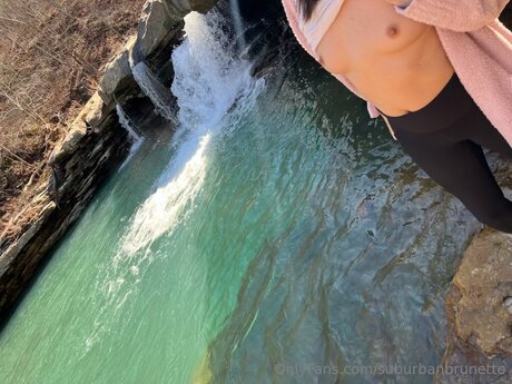 Suburbanbrunette art star images