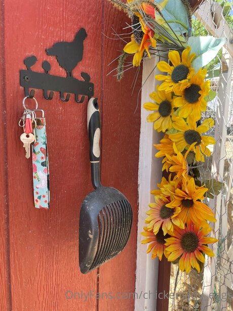 Chickenlady Eggs naked pornstar archive