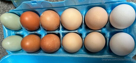 Chickenlady Eggs model porn pics