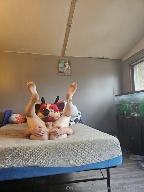 spin the wheel onlyfans porn img