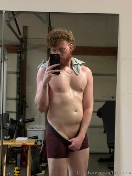 Brodenv star beautiful image