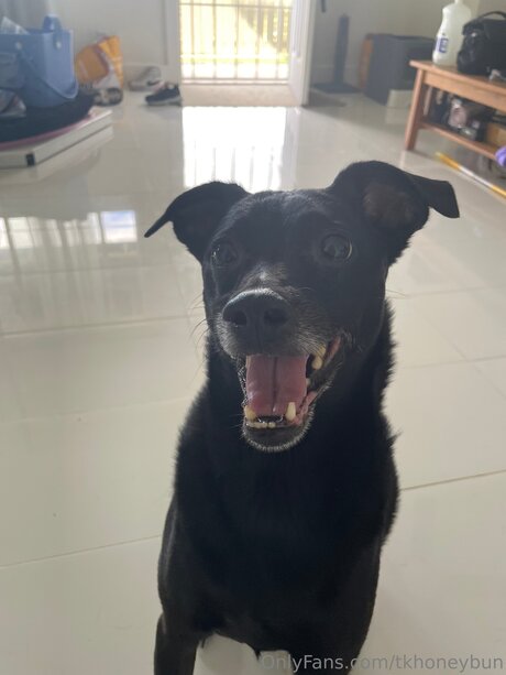 Tkhoneybun model nude photos