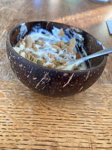 Pollypockethasfun art actress pictures