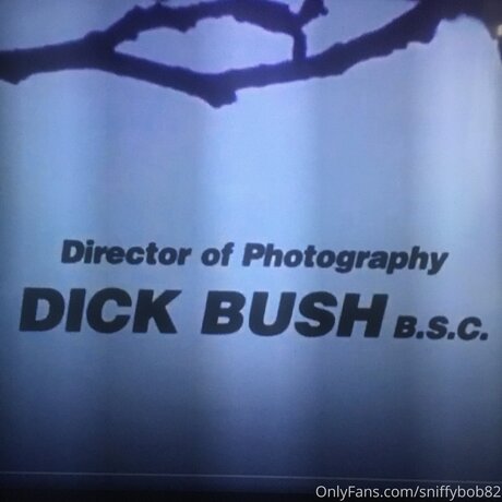 Sniffybob82 star free picture