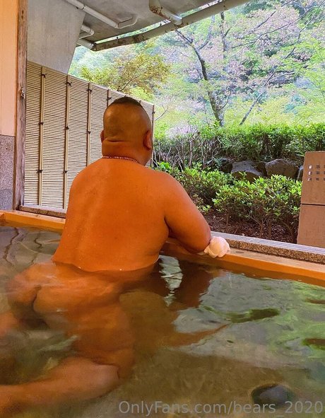 bears 2020 star nude pic