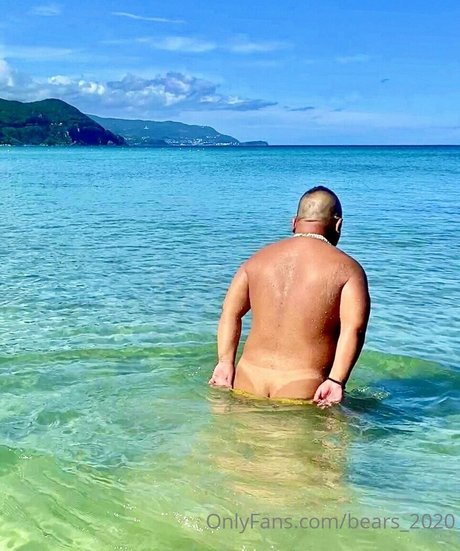 bears 2020 exclusive pornstar img