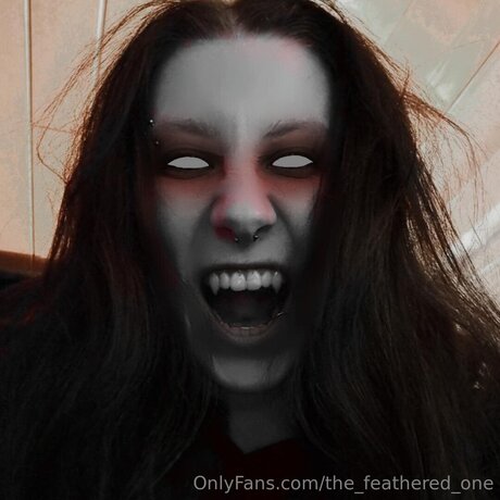 The Feathered One pretty star galleries