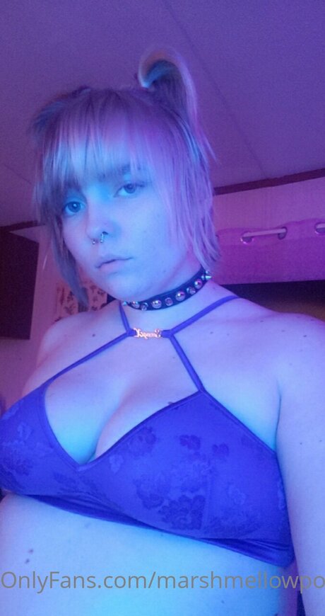 Marshmellowponi star nice pic