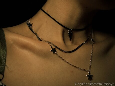 Toxicsonya nudes actress picture