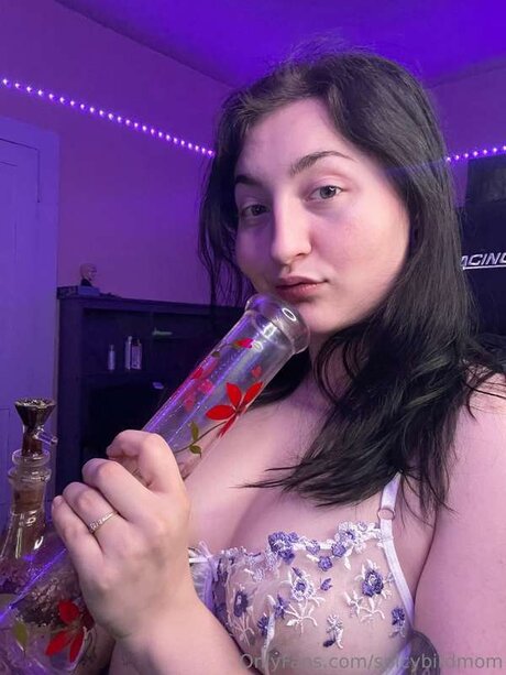 Spicybirdmom Profile