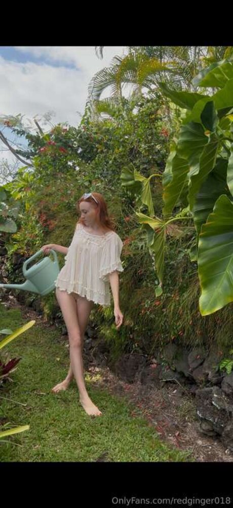 Redginger018 star porn pics