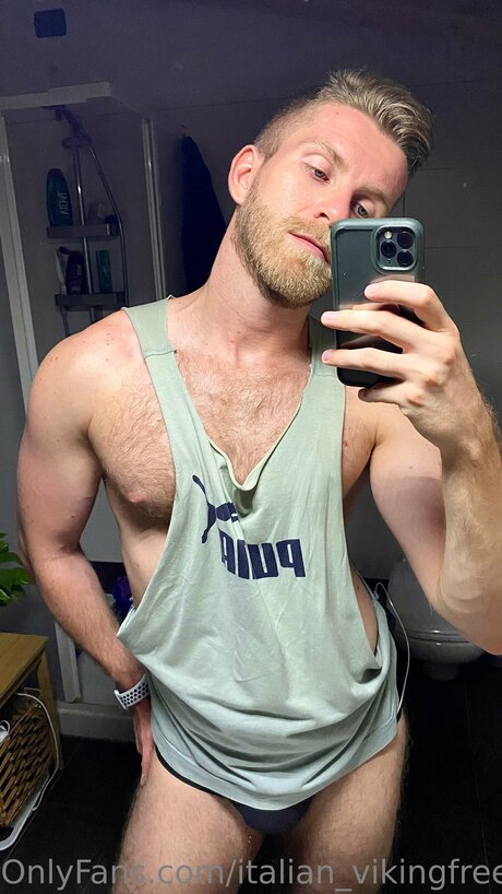 Italian Vikingfree art star archive