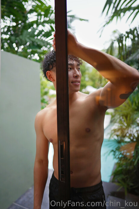 Chin Kou model art image