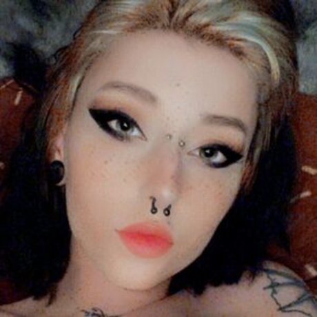 stepsislilli star high quality photos