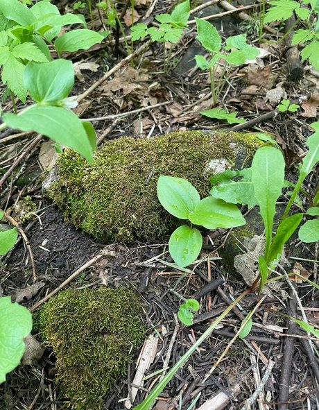 mechanic onlyfans hot img