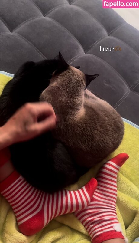 pinars0ylu star porn gallery