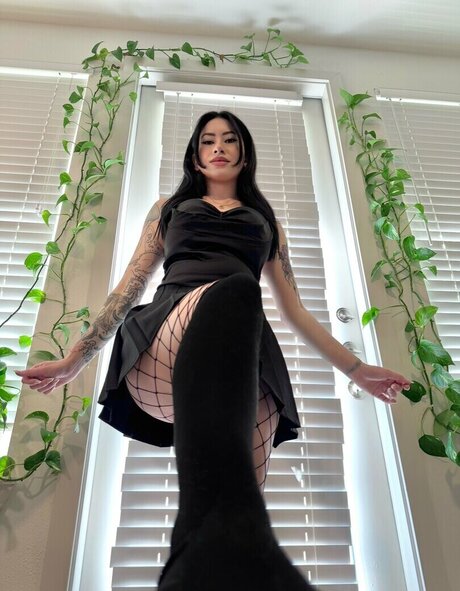 asian pantyhose onlyfans hd photo