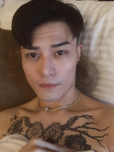 JVSEN erotic model picture