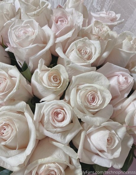 short teen onlyfans hd pictures