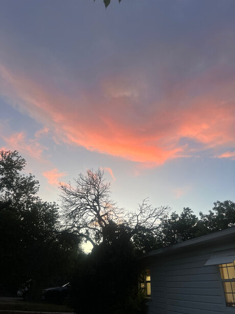 asian young onlyfans free image