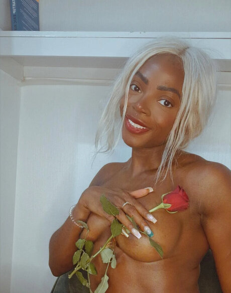 Jenita star pretty archive