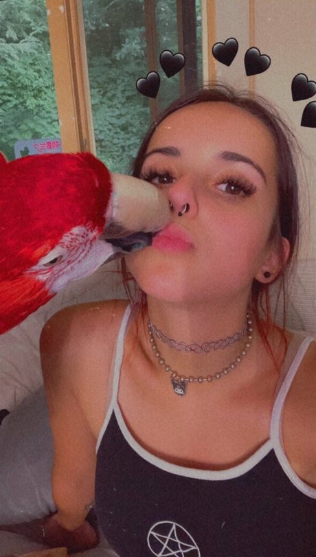 big booty bbw onlyfans nice image