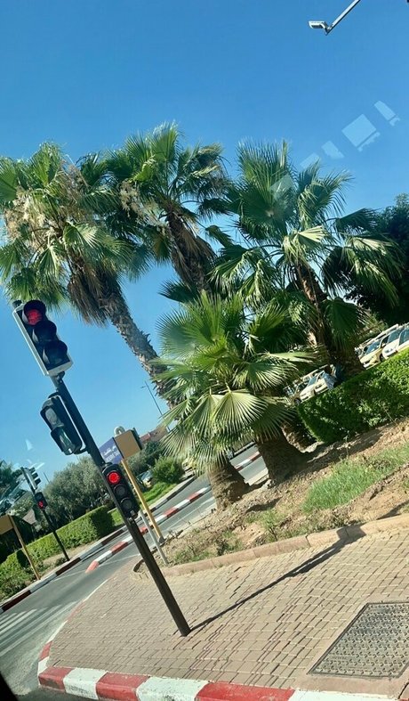 coco lls model adult picture