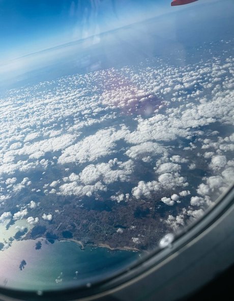 coco lls nice star img