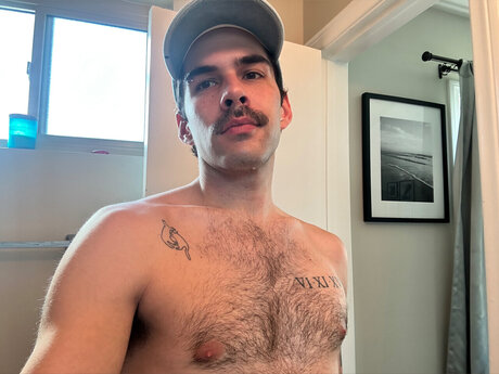 nick gemini_ nice model archive