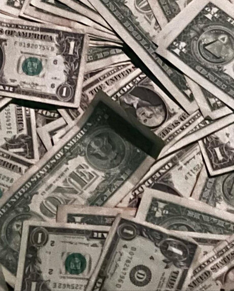 Maui_ star best photos