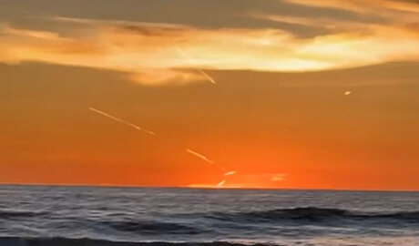 Holly woodz art pornstar image