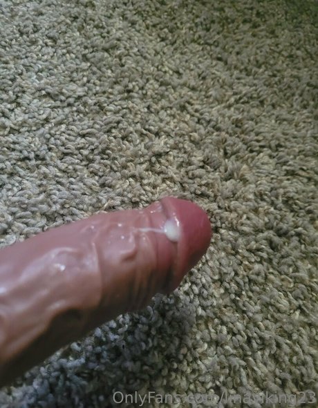 linaviking23 top star galleries