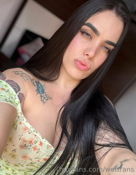 wettrans star exclusive gallery