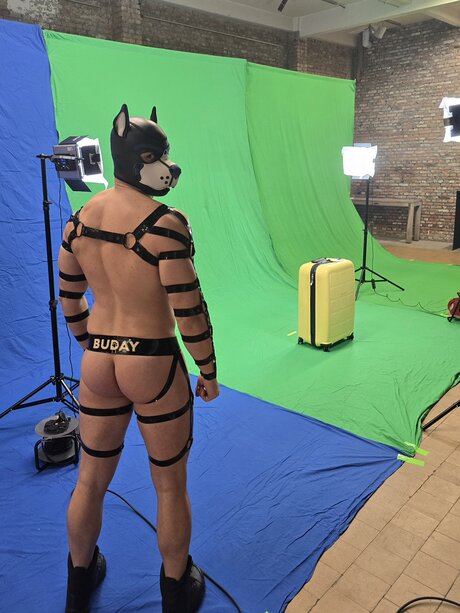 pupbuday pornographic star img