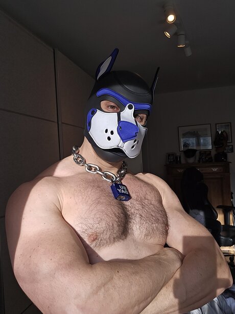 pupbuday pornstar pic