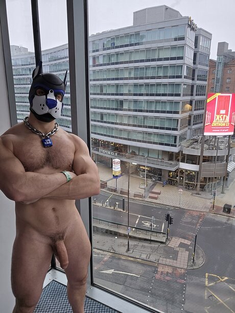 pupbuday art star galleries