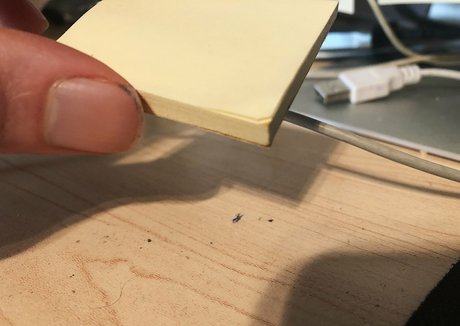 giantgodqueen nudes pornstar photos