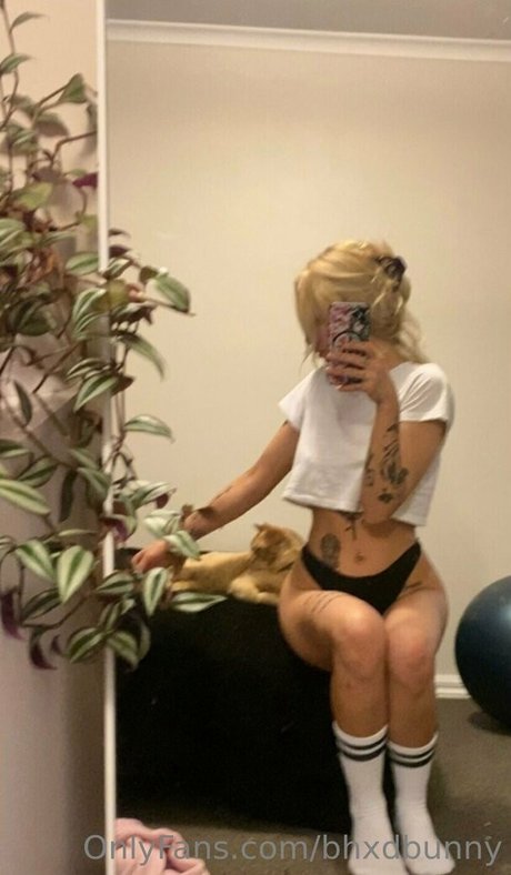 bhxdbunny porn actress img