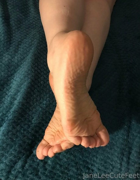 janeleecutefeet pornstar picture