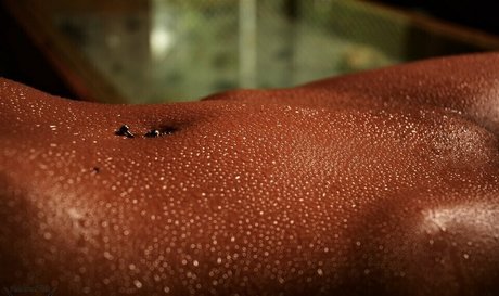 latina shemale onlyfans free naked photos