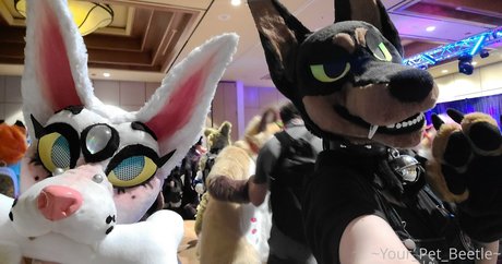 strwbrryinsides star pretty photo