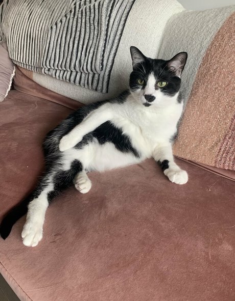 lauuu x model best galleries